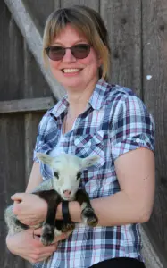 Johanssons Lamm och Ull