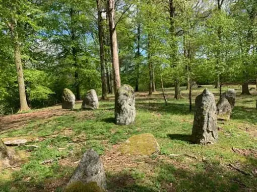 Skeppssättning av resta stenar på gravfältet vid Häglinge