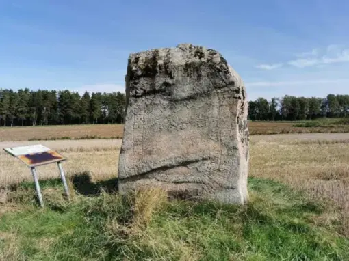 Runstenen på Larvs hed ute i åkermarken i Vara kommun