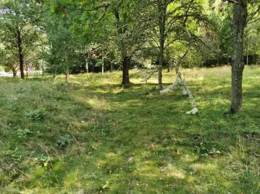 Fornlämningsområdet i Larv med spår av forntida gravmiljö – bild 4