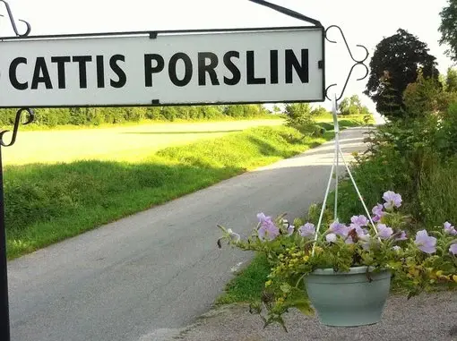 Skylt med texten "Cattis Porslin" vid landsväg, omgiven av grönska och blommor i en blomkruka.