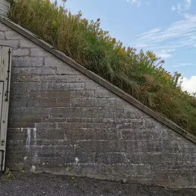 Befästningsvall med grönska En gräsbevuxen befästningsvall av sten vid Karlsborgs fästning.