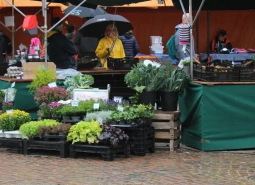 Torghandel i regn med stånd fyllda av färska grönsaker, växter och blommor på kullerstensmarknad. Personer i regnkläder besöker marknaden.